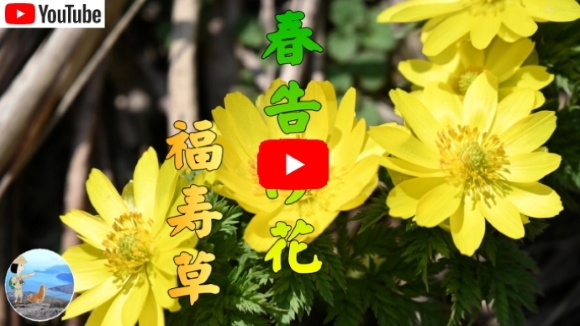 tԁ@