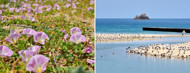 �{���l�̎��R